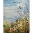 thumbnail image 3 of Fidelia Bridges 15x18 Black Modern Framed Museum Art Print Titled - February (1875), 3 of 5