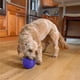 thumbnail image 2 of Juguete Interactivo Planet Dog Orbee-Tuff Lil' Snoop Morado dispensador de golosinas para Perro Pequ, 2 of 8