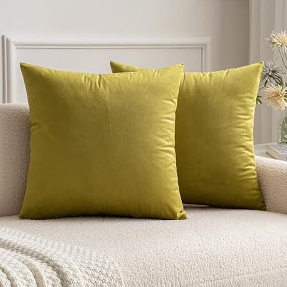 Eryueer Velvet Cushion Covers Soft Decorative Square Throw Pillow Case Pillowcases for Livingroom Sofa Bedroom with Invisible Zipper 24"x24" 60cm x 60cm 2 Pieces Olive Green