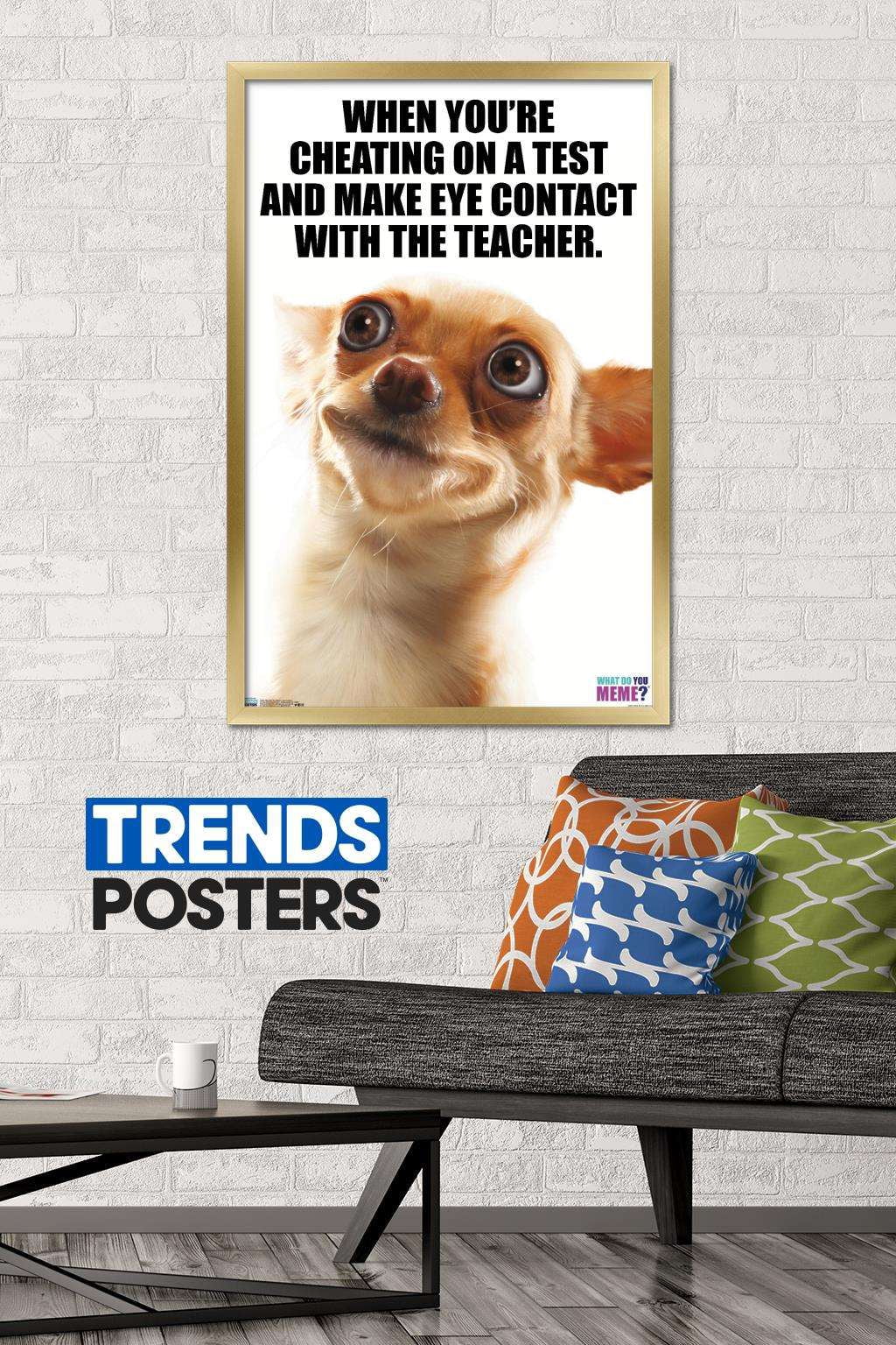 What Do You Meme - Eye Contact Wall Poster, 22.375" x 34", Framed