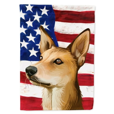 Carolines Treasures CK6567GF Indian Pariah Dog American Garden Size Outdoor-Flags, Multicolor