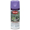 Krylon Outdoor Spaces Satin Finish Spray Paint, Grape