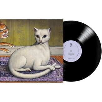 Counting Crows - Recovering The Satellites - Vinyl - Walmart.com