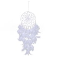 thumbnail image 1 of Lace White Feather Wall Hanging Home Decoration, 1 of 7