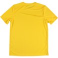 thumbnail image 2 of Nike Boys Park VI Unisex Soccer Jersey, 739, Big Kids (8-20), M, 2 of 2