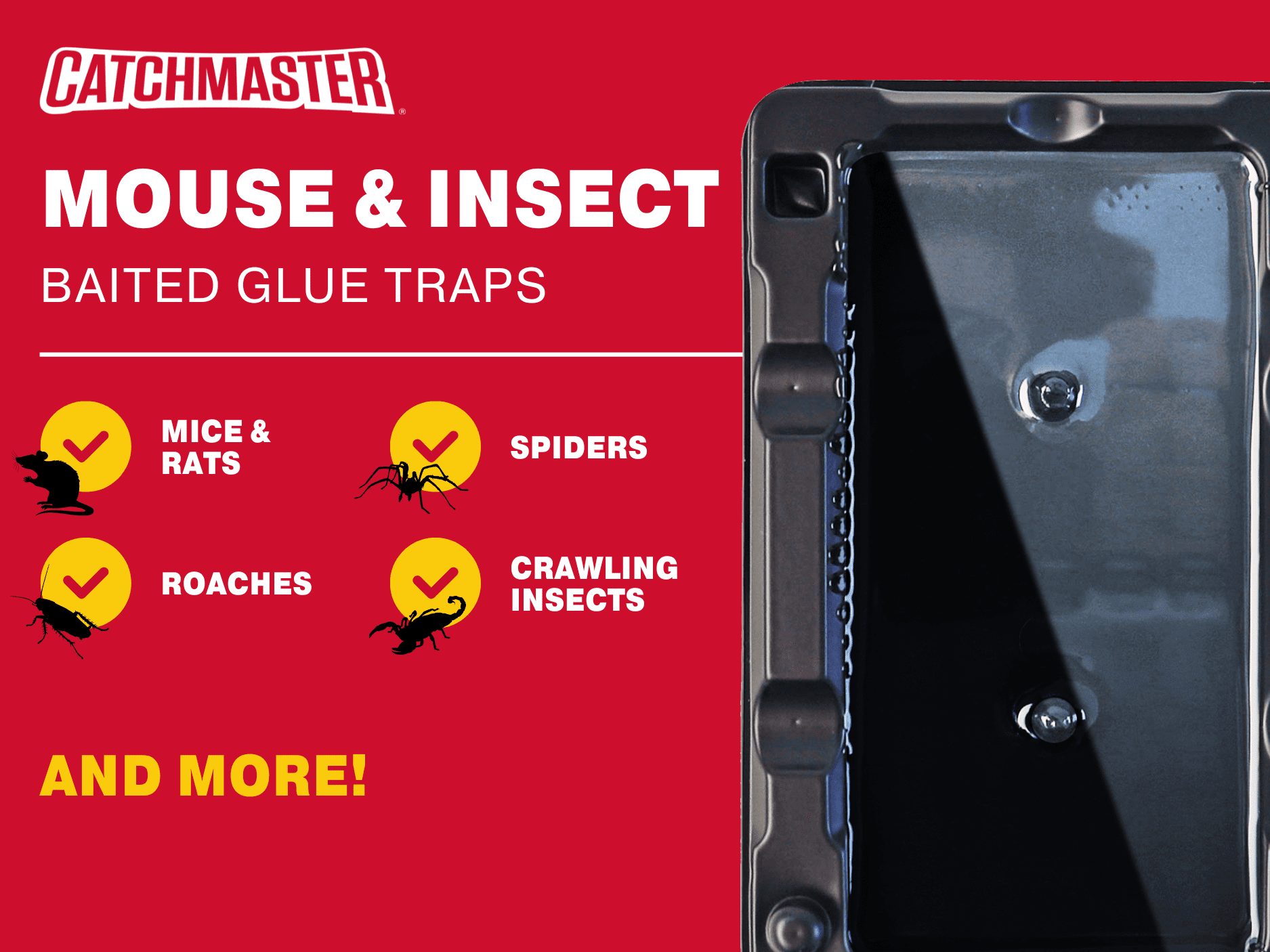 Catchmaster Mouse & Insect Solid Glue Traps 6 Count