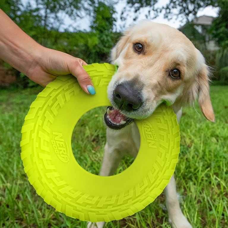 Nerf Dog Tire Feeder Dog Toy, Lightweight, Durable and Water Resistant, 4  Inches, for Medium/Large Breeds, Single Unit, Red