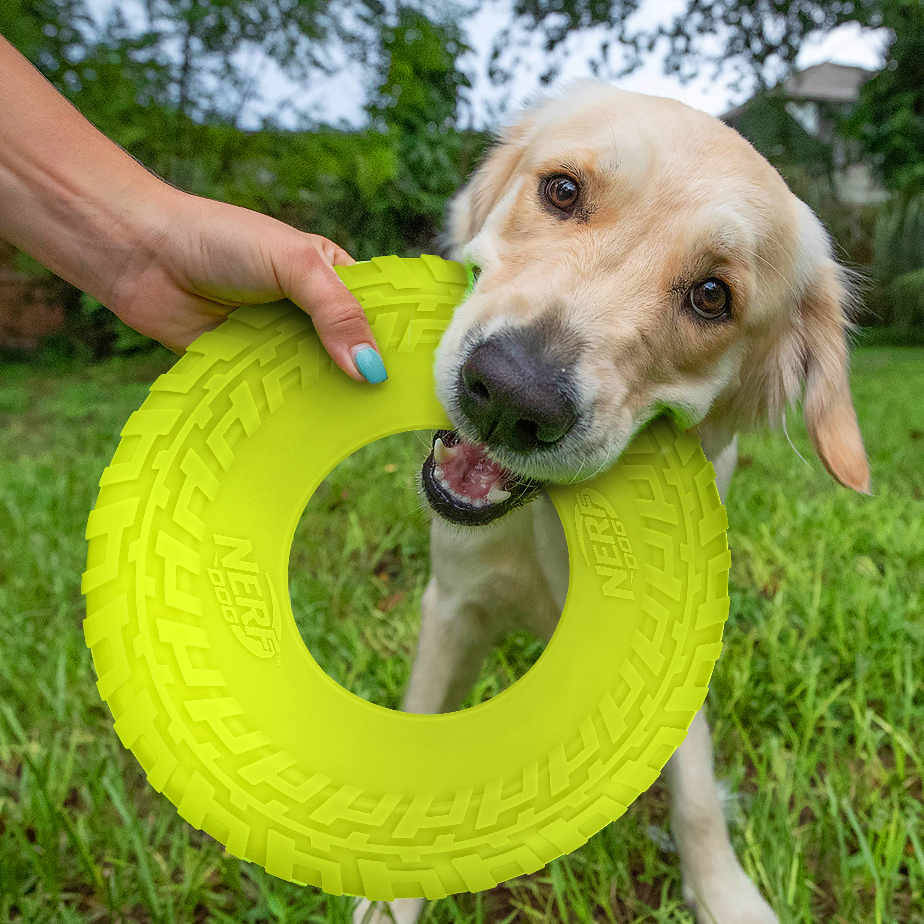 DLDER Dog Flying Disc Chew Toy - Durable Floating Ring For Aggressive Chewers, Medium/Large Breeds, 28cm