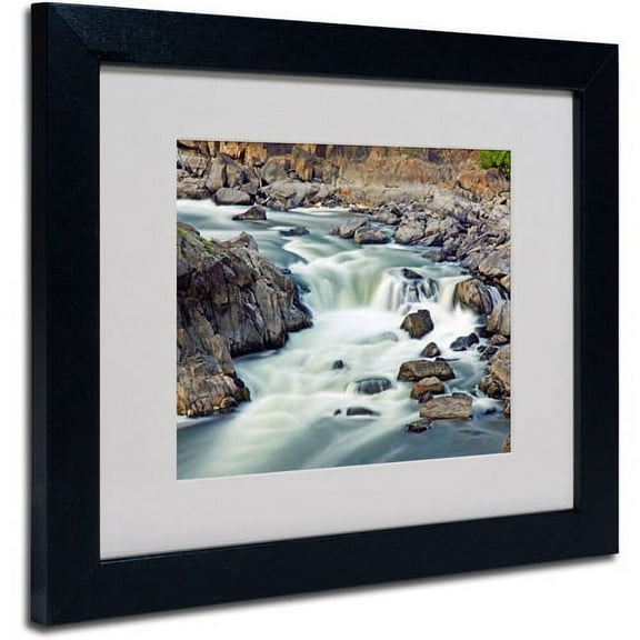 Trademark Art Matted Framed Art by CATeyes 'A Treasure