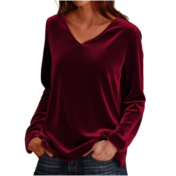 Ltctricy Velvet Tops for Women Vintage Long Sleeve V Neck Dressy Casual Velour T Shirts Soft Comfy Tees Loose Tunic Blouses(Wine,X-Large)