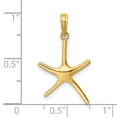 thumbnail image 3 of 14K Yellow Gold Polished Finish Dancing Design Starfish Charm Pendant, 3 of 4