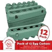 Vented Paper Pulp Egg Cartons - Teal (12-Pack)