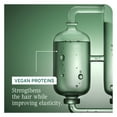 thumbnail image 3 of Biolage Strength Recovery Shampoo Reparador de Cabello Dañado 400 ml | Shampoo Reparador y Fortalecedor| Fórmula Vegana &amp; Libre de Crueldad Animal, 3 of 8