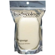 Bodycology Accessories: Body Sponge, 1 ct