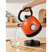 Stainless Steel Electric Kettle 1.7L with Thermometer 1100W Fast Boiling Auto Shut Off