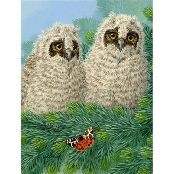 Owlets Flag Garden Size