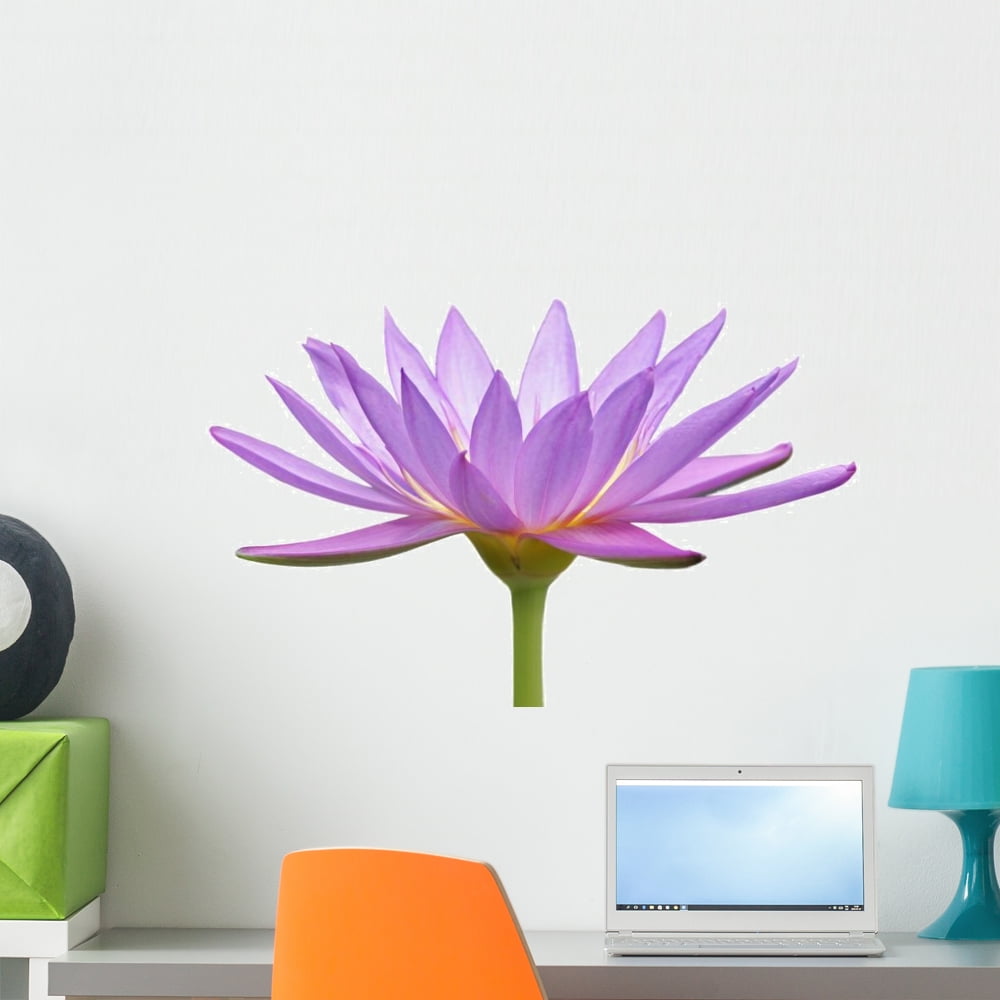 Water Lily Flower Wall Decal by Wallmonkeys Peel and Stick Graphic (24 in W x 15 in H) WM138495