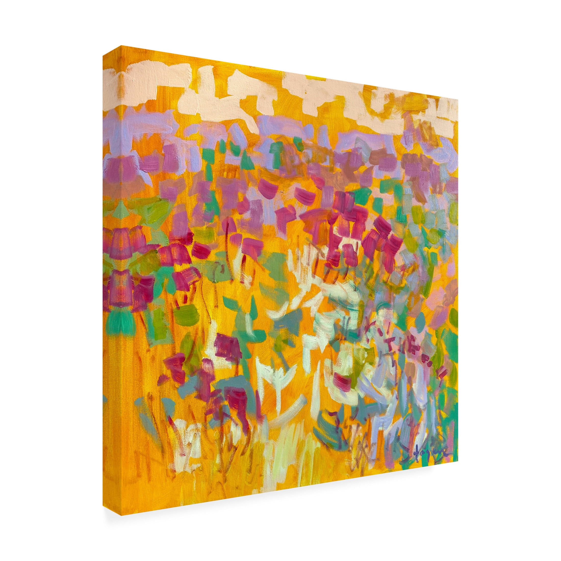 Canvas Wall Art - Dorothy Fagan 'Sundance Ii' Wall Art for Living Room, Bedroom, or Office D?cor by Trademark Fine Art - 14 x 14 Inches