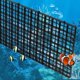 thumbnail image 1 of Separadores de 4 bandejas para acuario: aísle la compuerta separadora del fondo del filtro del tanque de peces REJILLA DE DISOLACIÓN Tornillo de huevo con clip de succión de 8 piezas - negro ZefeiWu 8390613002723, 1 of 1