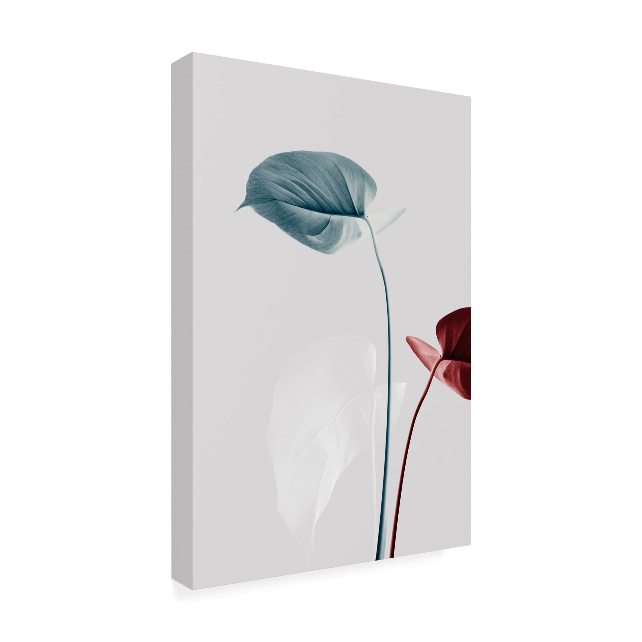 Trademark Fine Art Pictufy Studio Monstera Creative 23 Canvas Wall Art
