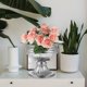 thumbnail image 4 of Bodet Metal Flower Pot decorativa Fiesta de estilo europeo Flor Flower para el camino del patio, 4 of 6