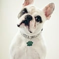 thumbnail image 3 of Dsscvnef 2pcs Glitter Pet Tag Tags Dog Tags Cat Tags Label Accessories Dog Tag, 3 of 3