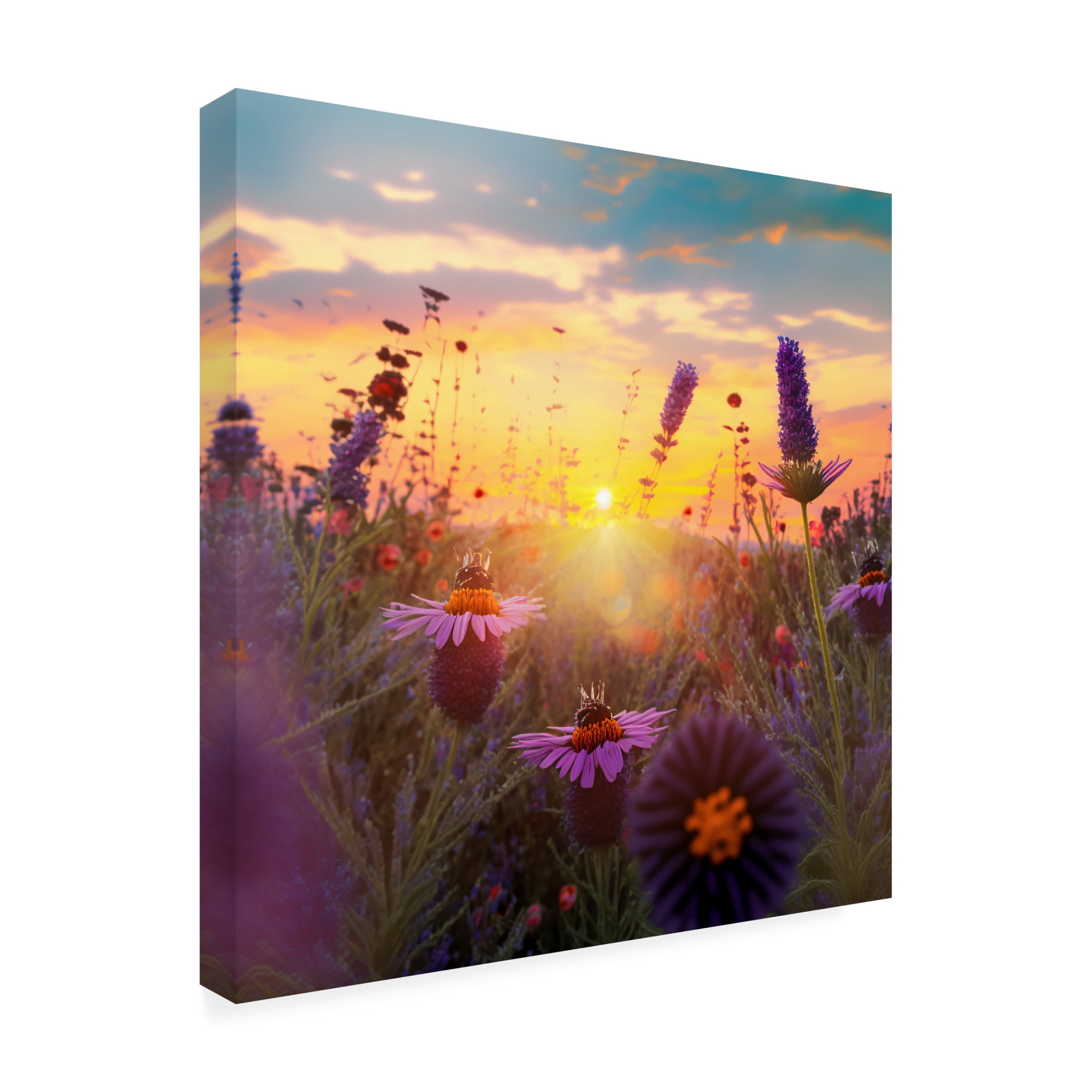 Canvas Wall Art - Ray Heere 'Flowering Fields 6' Wall Art for Living Room, Bedroom, or Office Décor by Trademark Fine Art - 18 x 18 Inches