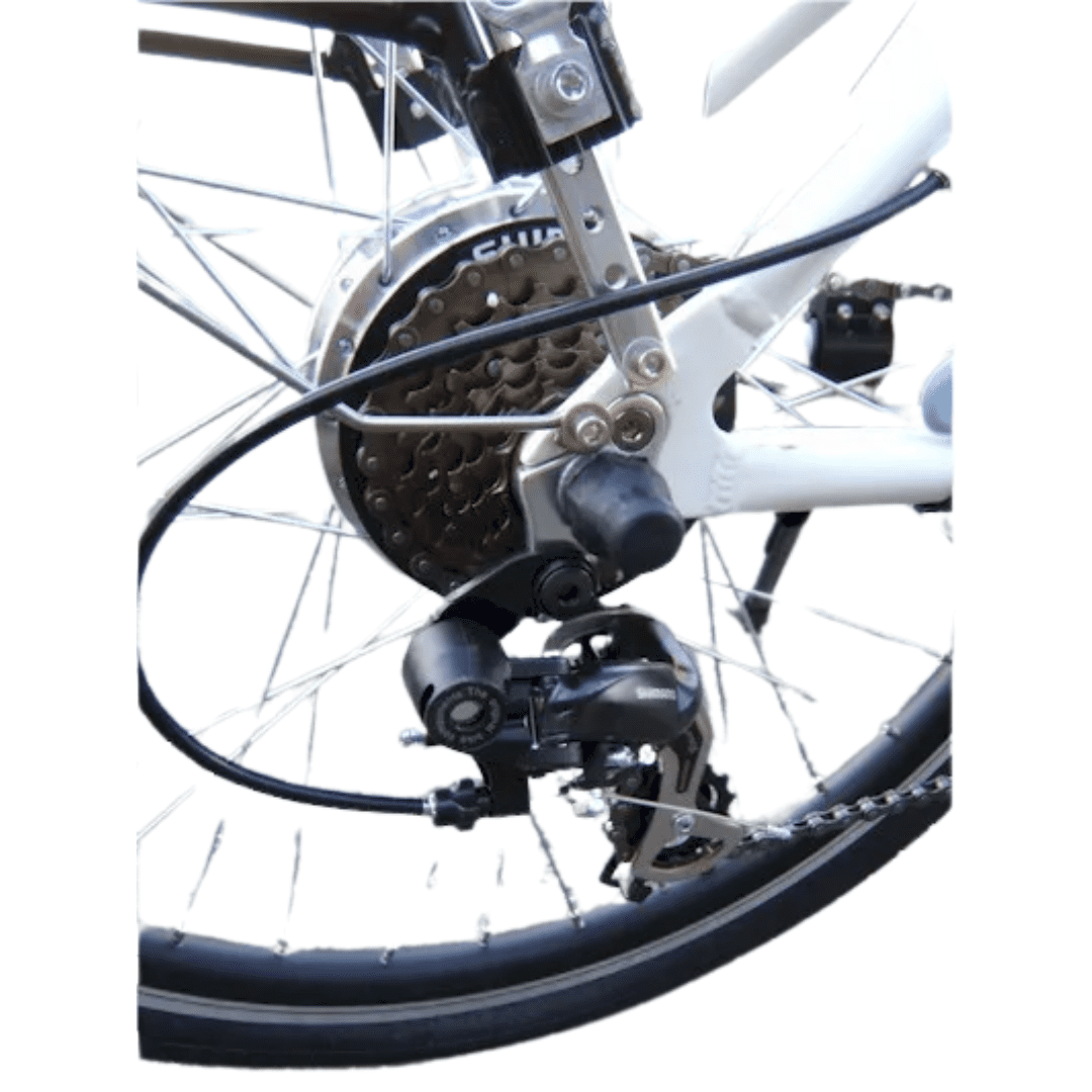 ETRAVELBIKES BX Cruiser 1500W Electric Bike - 350 lbs High Capacity Motorized Bicycle for Adults, 20 MPH High Speed Power E-Bike, Heavy Duty Utility Bike
