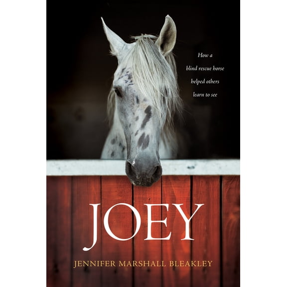 Joey : How a Blind Rescue Horse Helped Others Learn to See (Hardcover)