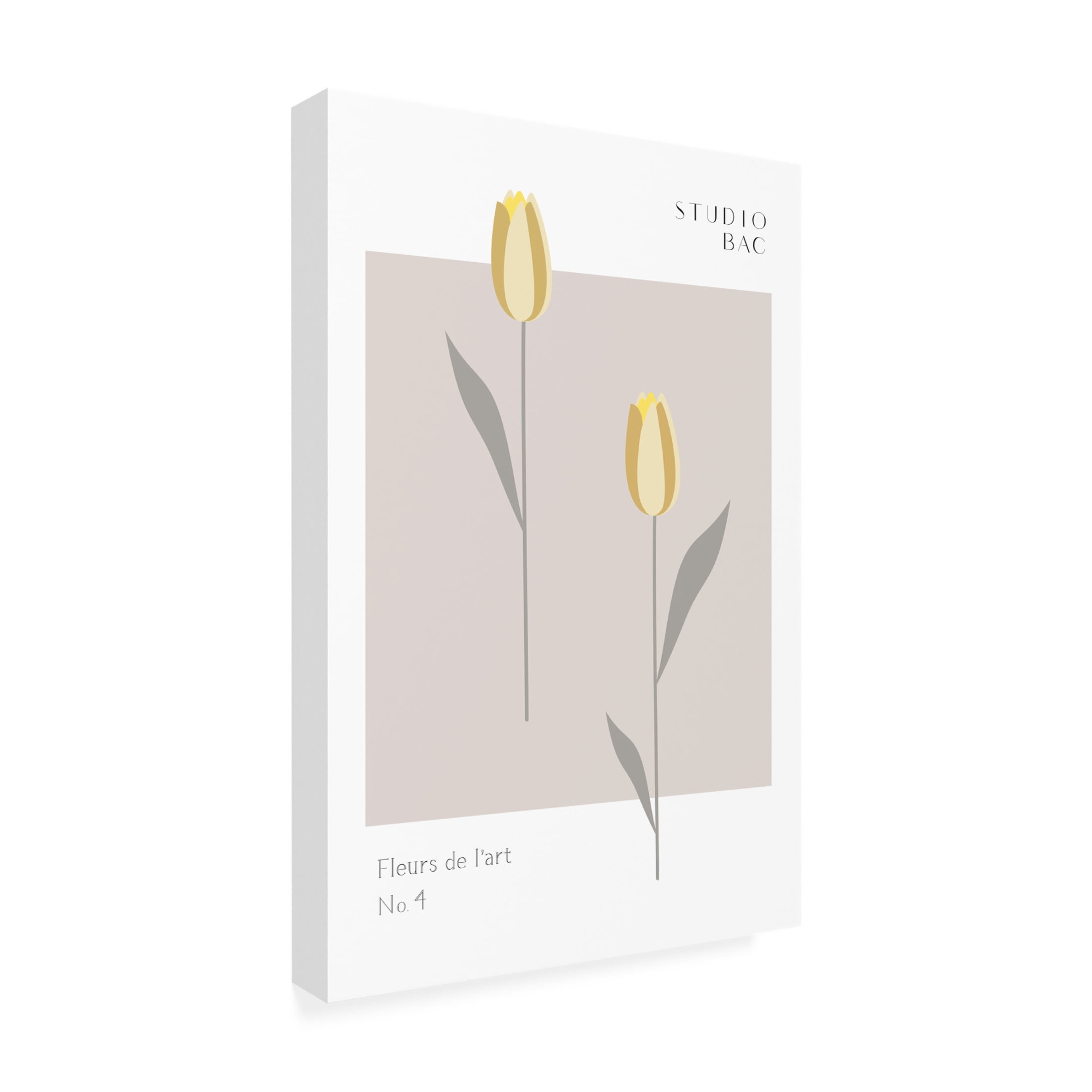 Trademark Fine Art Pictufy Studio Tulips Studio Bac Canvas Wall Art