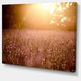 thumbnail image 2 of Brown Tinged Lavender Field Sunset - Floral Canvas Art Print, 2 of 3