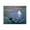 Halloween Water Lilies Ghost, variant on Stupell Industries Traditional Water Lilies with Ghost & Kitty Black Framed Giclee Art, 14 x 11, by Arlington Prints