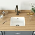 thumbnail image 5 of American Standard Delancey Undermount Cast Iron 18 in. Single Bowl Kitchen Sink in Brilliant White, 5 of 8