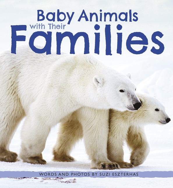 Baby Animals: Baby Animals with Their Families (Series #4) (Hardcover) -  