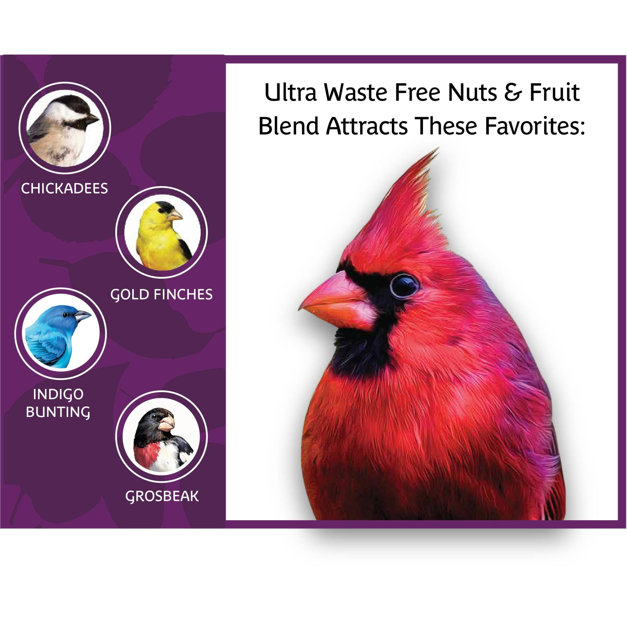 Pennington Ultra Nuts & Fruit Waste Free Dry Wild Bird Food and Seed, 6 lb. Bag, 1 Pack