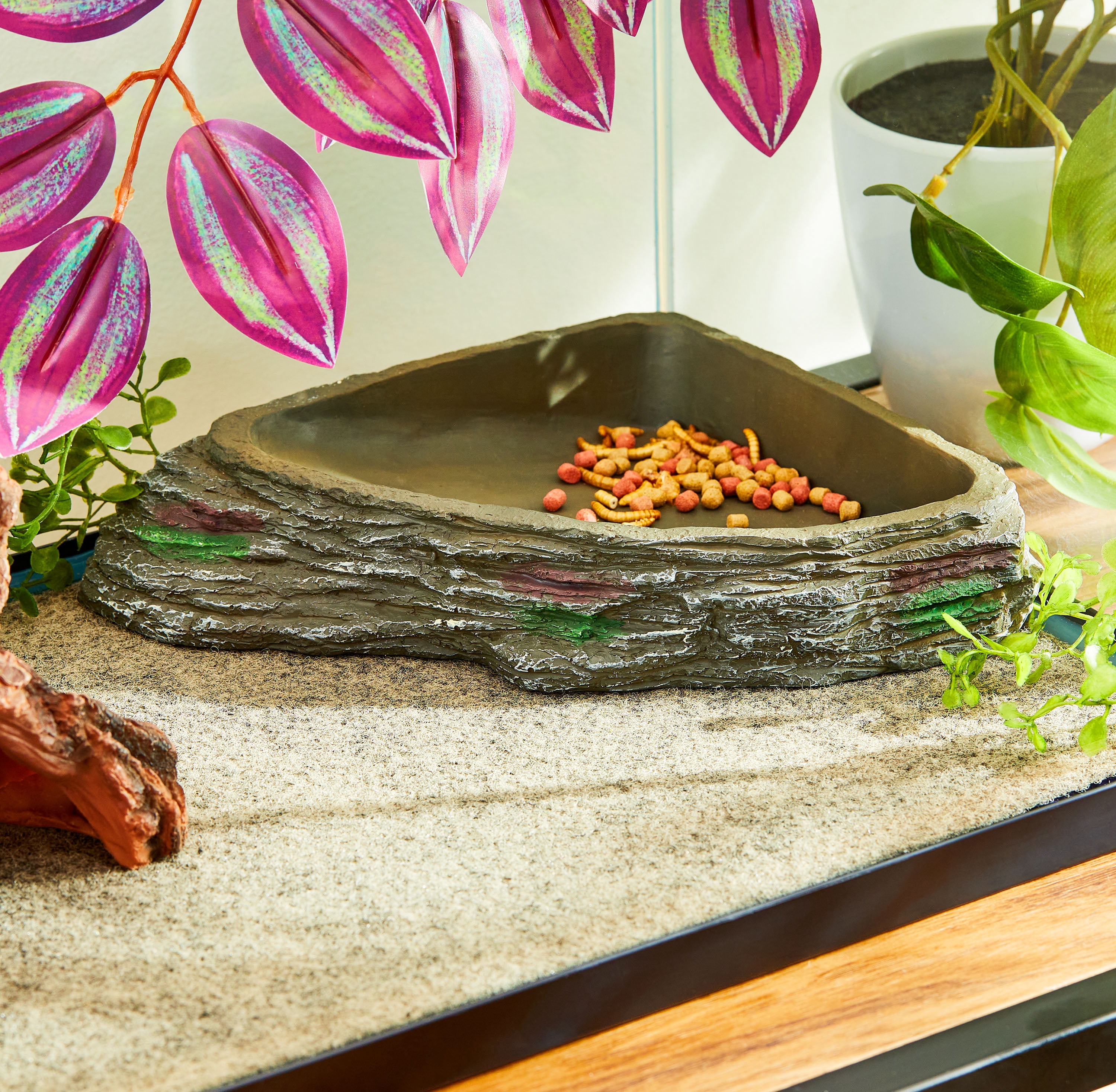 Vibrant Life Reptile Terrarium Resin Feeding Bowl, Gray