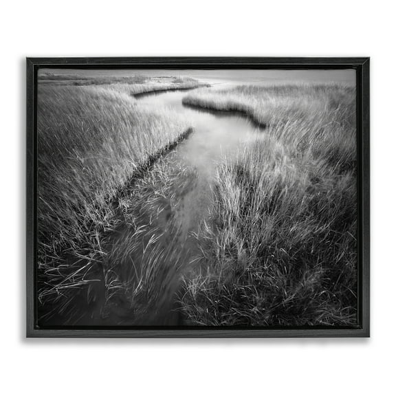 Stupell Industries Meandering Estuary View Landscape Photography Black Floater Framed Art Print Wall Art, 21 x 17