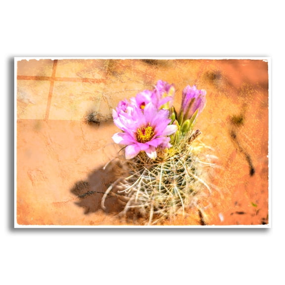 Epic Art 'Desert Flower 4' by Lightbox Journal, Acrylic Glass Wall Art, 16"x12"