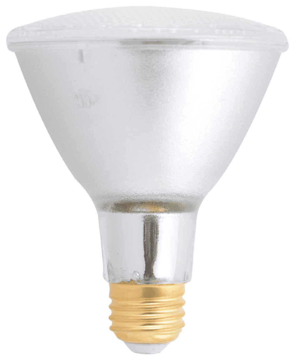 Great Value LED Light Bulb 75W Eqv. Par30 Softwhite 2Pk