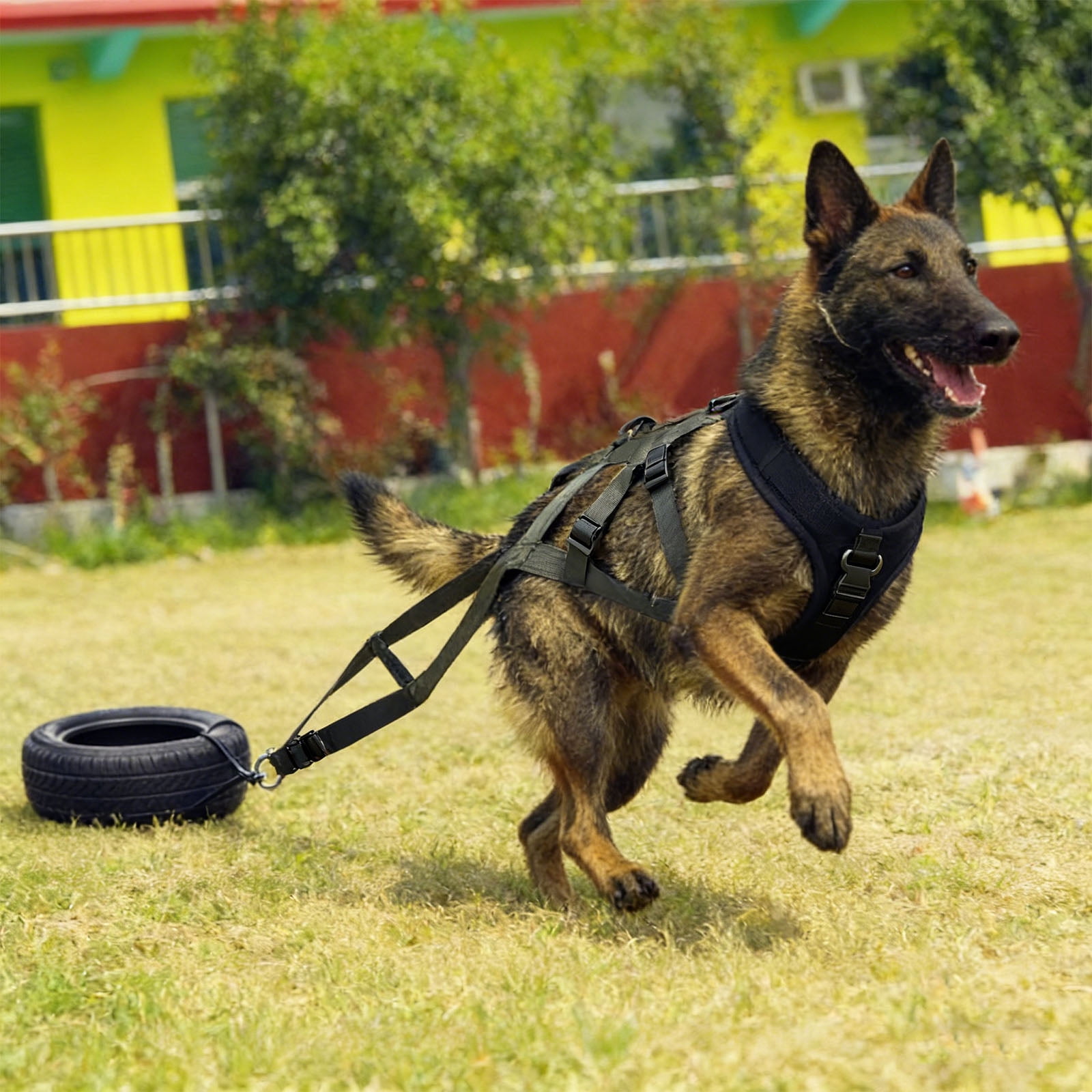 Dog Harness Comfortable Dog Vest Harness for Large Dogs Sled Training Weight Pulling Supplies