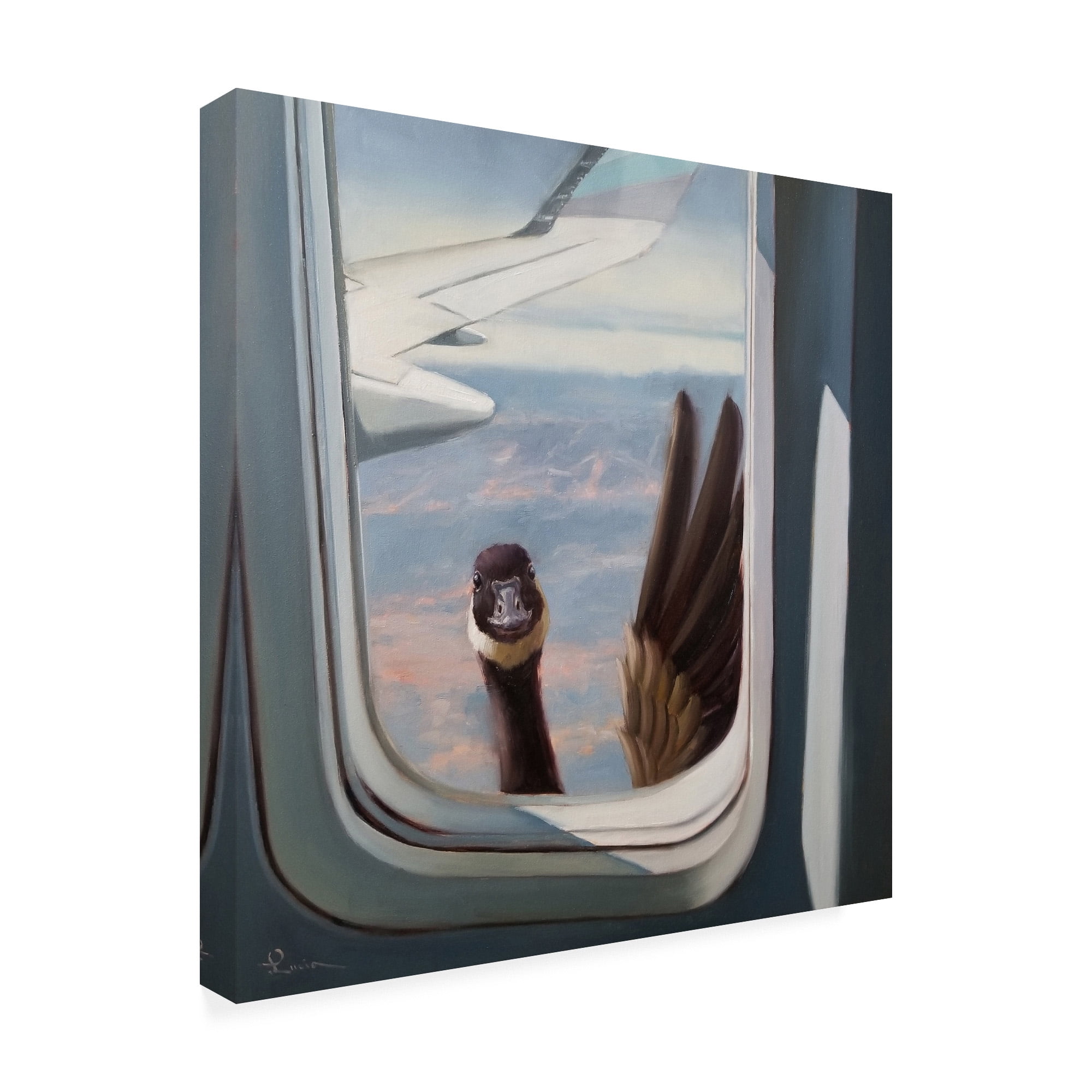 Trademark Fine Art 'Friendly Skies' Canvas Art by Lucia Hefferna