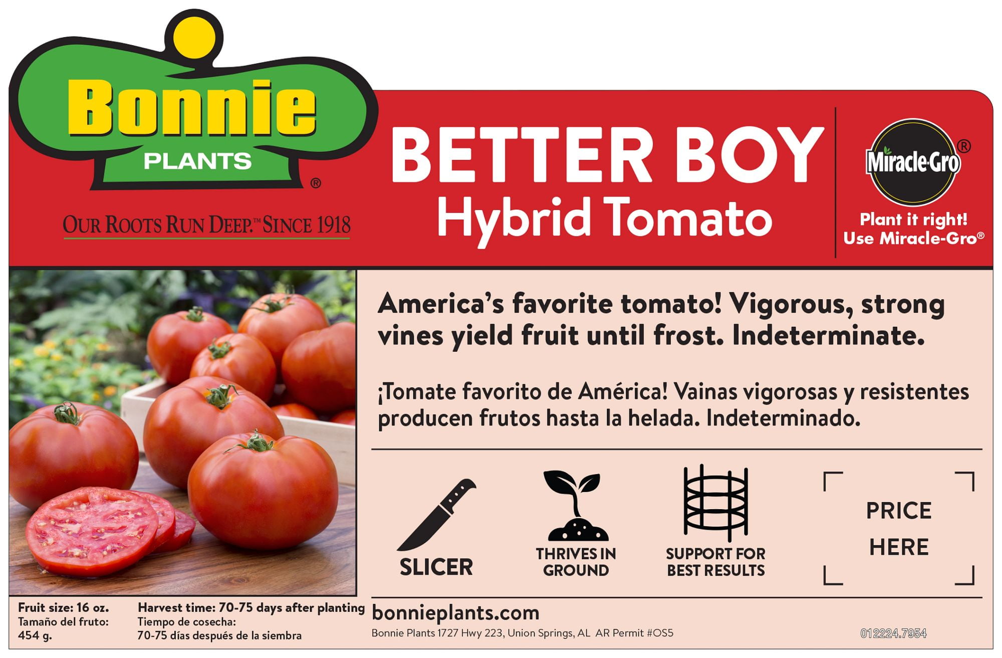 (2 pack) Bonnie Plants Better Boy Tomato 19.3 oz.