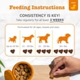 thumbnail image 4 of Zesty Paws Puppy Probiotic Bites Pumpkin Flavor Dog Supplement, 90 Count, 4 of 10