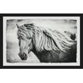 thumbnail image 2 of Beautiful Mane Framed Painting Print, 2 of 6