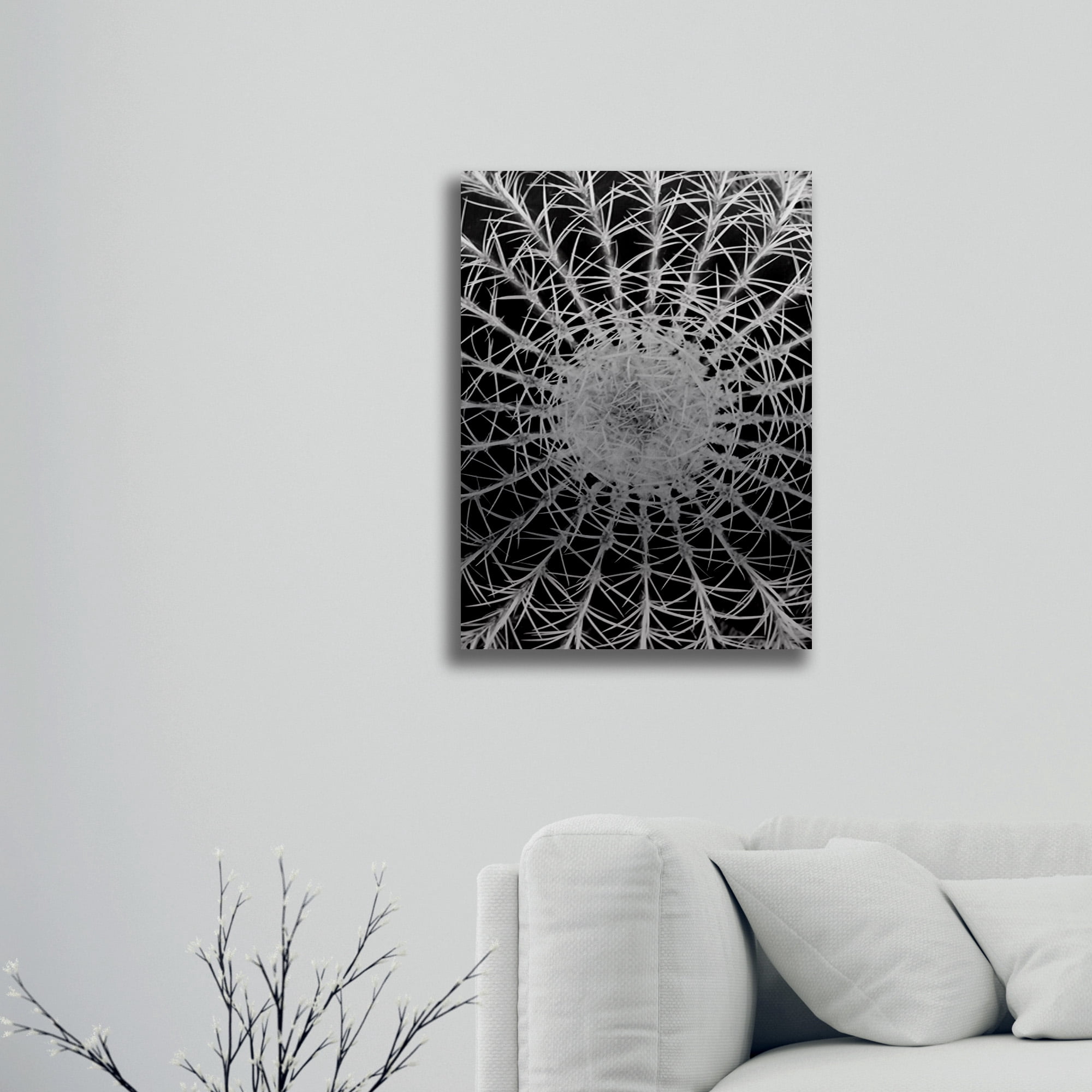 Trademark Fine Art 'Barrel Cactus' Brushed Aluminum Wall Art Art by Kurt Shaffer