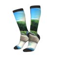 thumbnail image 2 of Saiise Bluey Funny Socks Men Women Boys Kids Adults Novelty Graphic Crew Tube Socks Crazy Design Casual Dress Socks for Sports,Running,Travel, 2 of 7