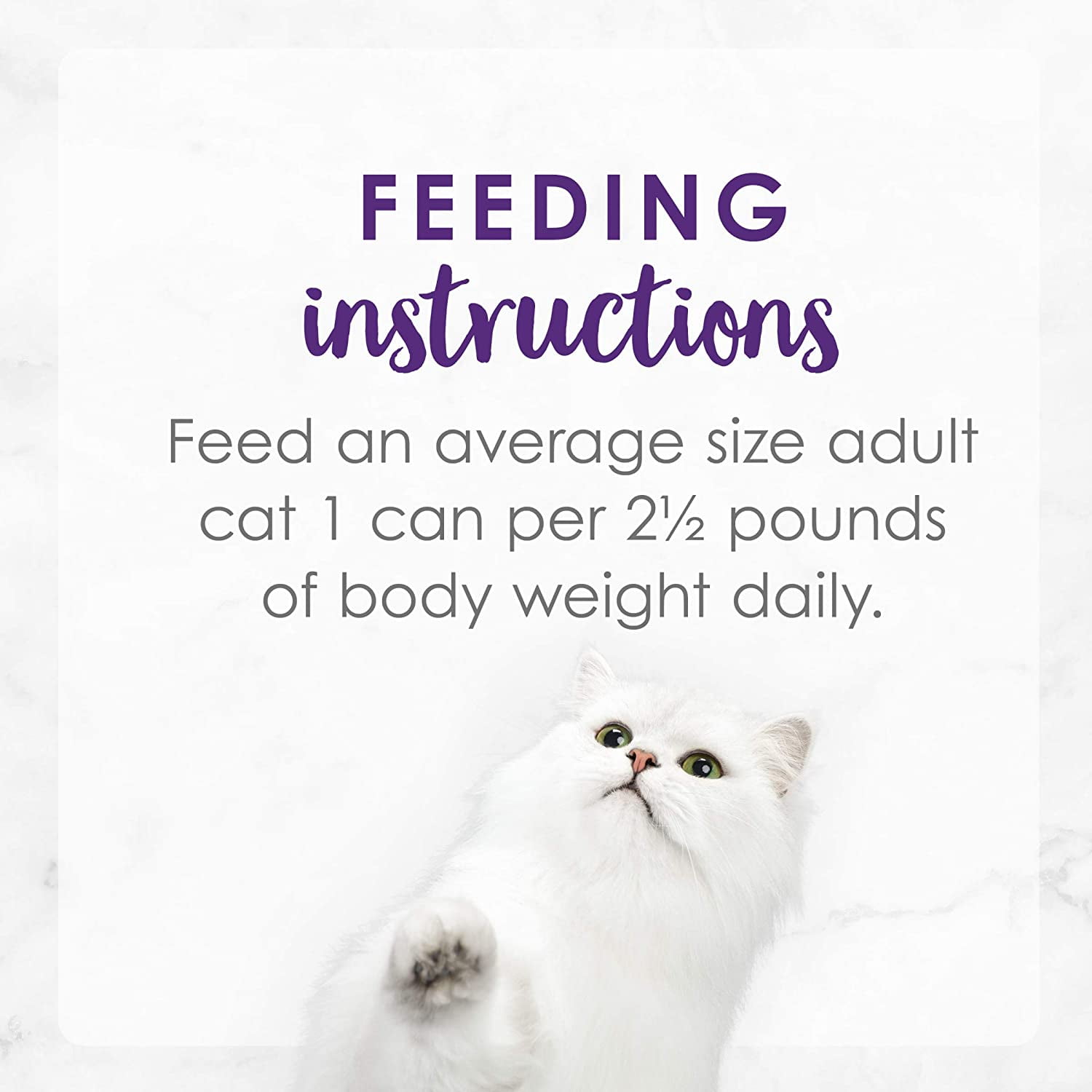 Fancy Feast Delights Grilled Turkey & Cheddar Cheese Feast in Gravy Wet Cat Food, 3 OZ (Pack of 24)