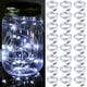 thumbnail image 1 of Fairy Lights ZGWJ, 20 LED, funciona con pilas, 7 pies, 24 unidades, color blanco frío, 1 of 7