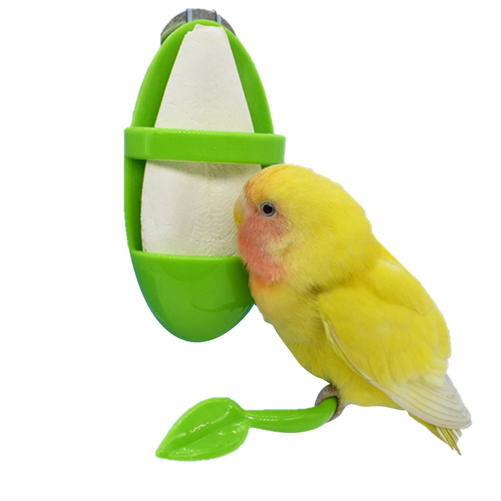 Birds Cage Feeders With Stand Pole,Bird Feeding Holder Vegetable Fruits Cuttlebone Holder For Parrot Budgies Parakeet Cockatiel Conure