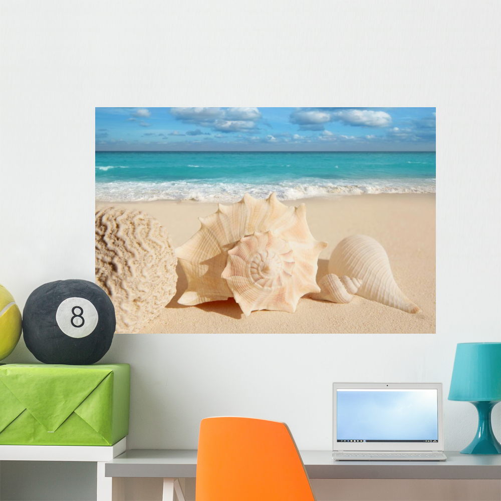 Sea Shells Starfish Tropical Wall Mural by Wallmonkeys Peel and Stick ...